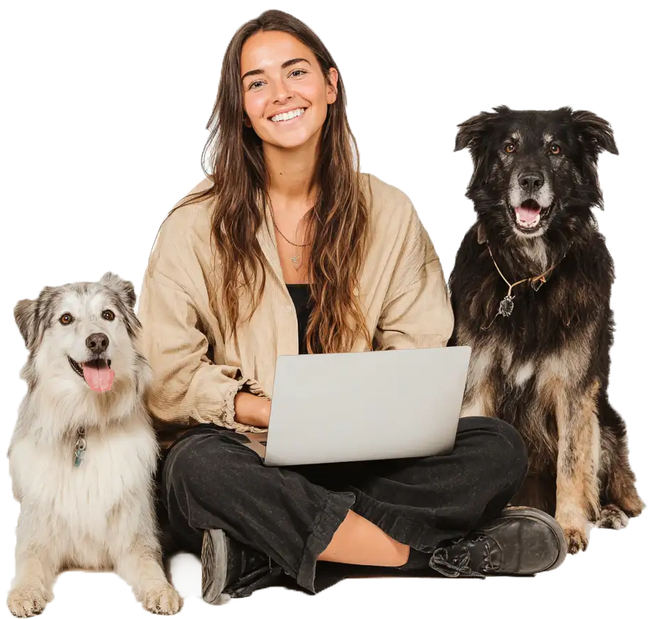Meine Tierpension - Advice for animal businesses